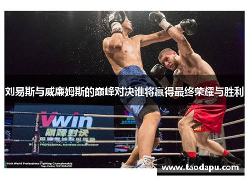 刘易斯与威廉姆斯的巅峰对决谁将赢得最终荣耀与胜利