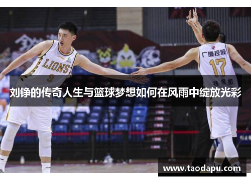 刘铮的传奇人生与篮球梦想如何在风雨中绽放光彩