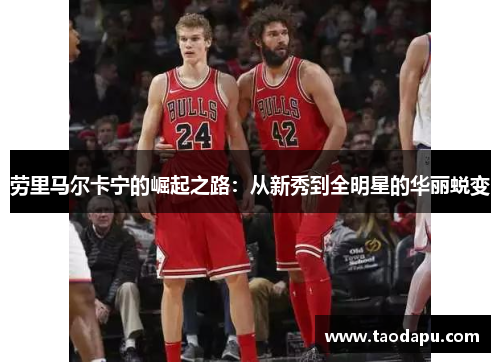 劳里马尔卡宁的崛起之路：从新秀到全明星的华丽蜕变