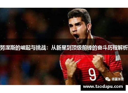努涅斯的崛起与挑战：从新星到顶级前锋的奋斗历程解析