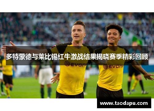 多特蒙德与莱比锡红牛激战结果揭晓赛季精彩回顾