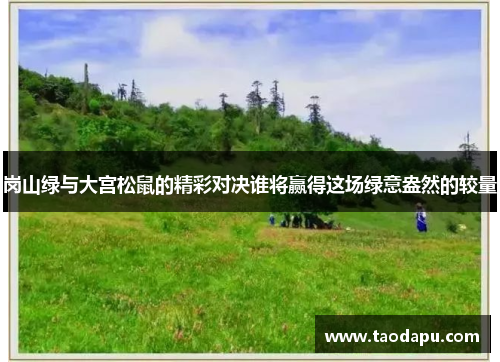 岗山绿与大宫松鼠的精彩对决谁将赢得这场绿意盎然的较量