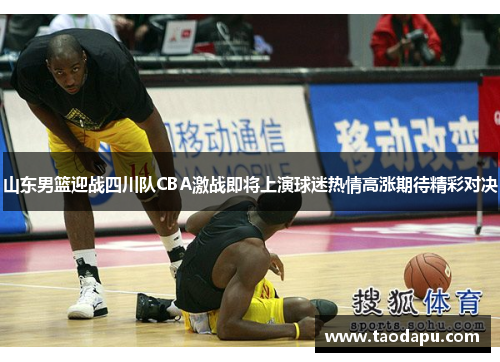 山东男篮迎战四川队CBA激战即将上演球迷热情高涨期待精彩对决