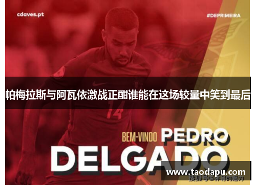 帕梅拉斯与阿瓦依激战正酣谁能在这场较量中笑到最后